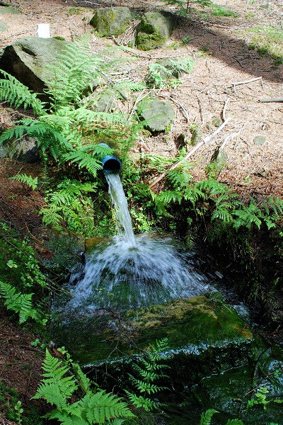 Martinská studánka (1509)