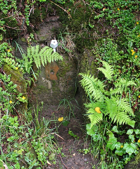 studánka Kohoutek (1520)