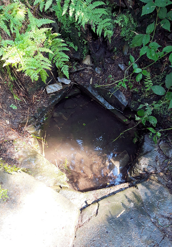studánka Radhoštnice (1540)
