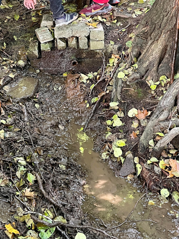 studánka Lysinka (1548)