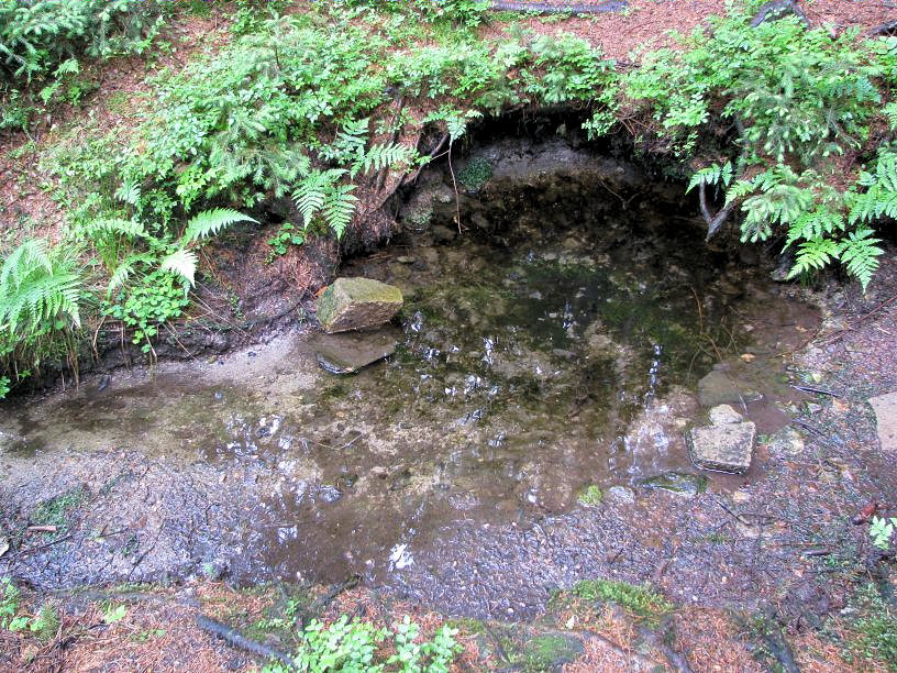 Akvaristická studánka (1557)