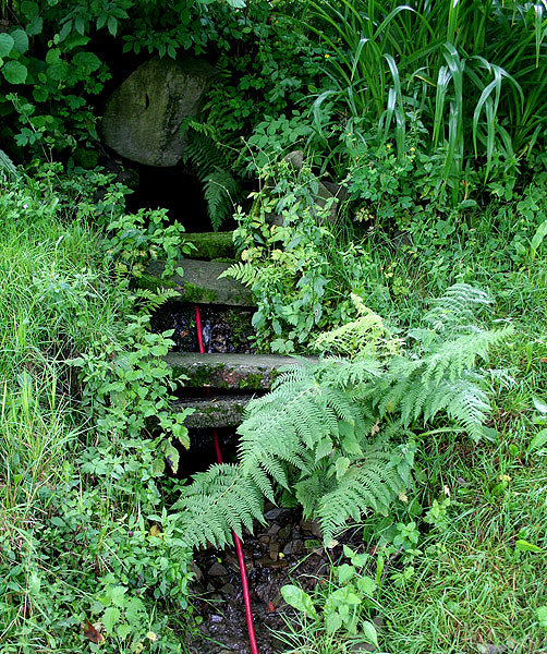 studánka bez jména (1569)