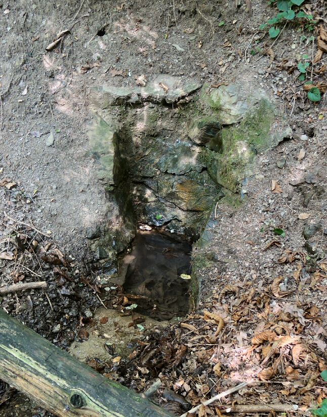 studánka Bohnická (1625)