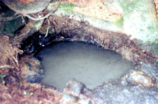 Chaloupků studánka (1656)
