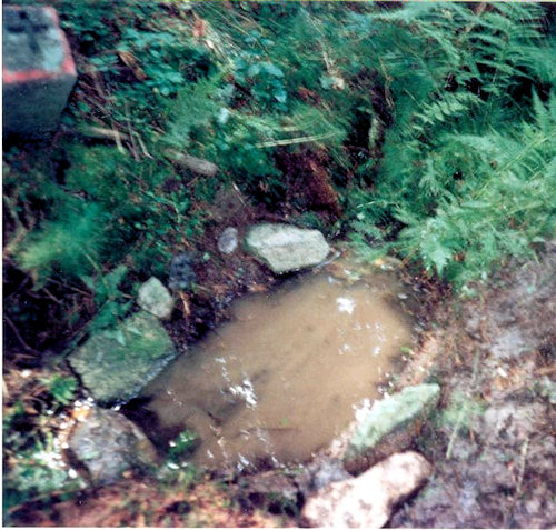 Studánka V Lesích (1657)