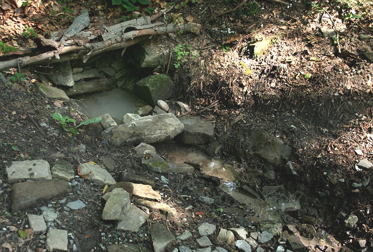 studánka Pod Bukovinou (1670)