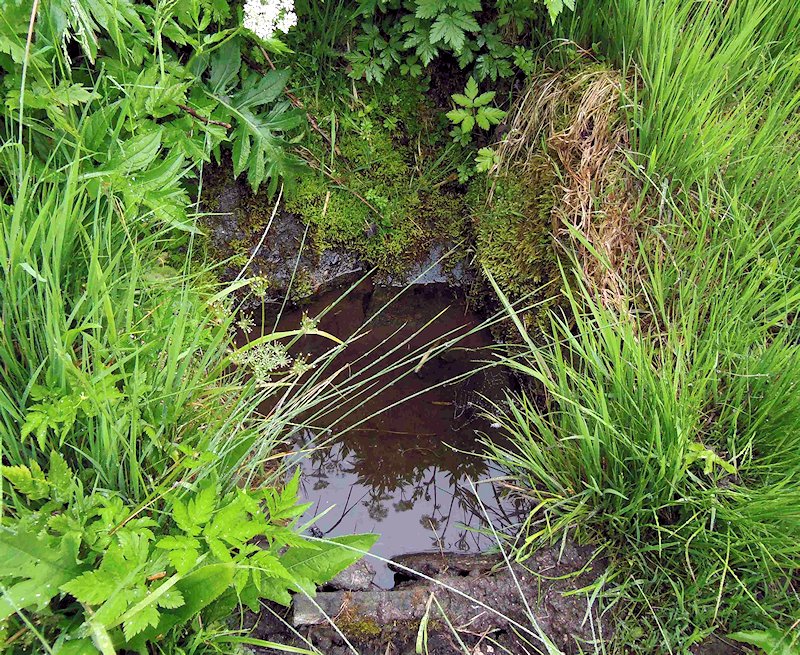 studánka Sagitta (1720)