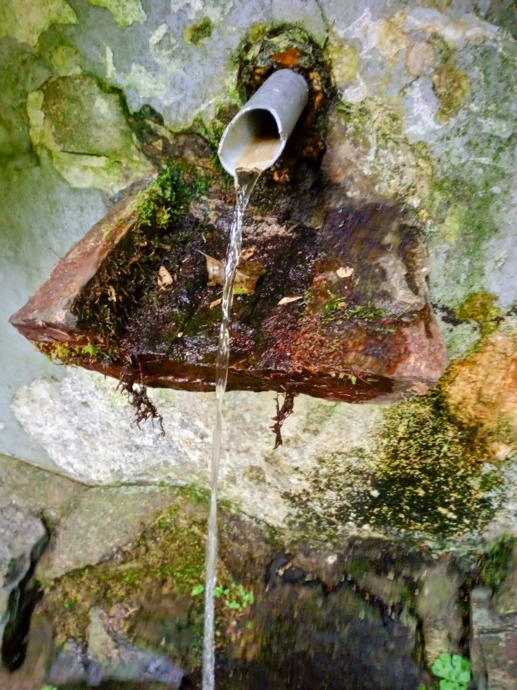 studánka Lesní (1768)
