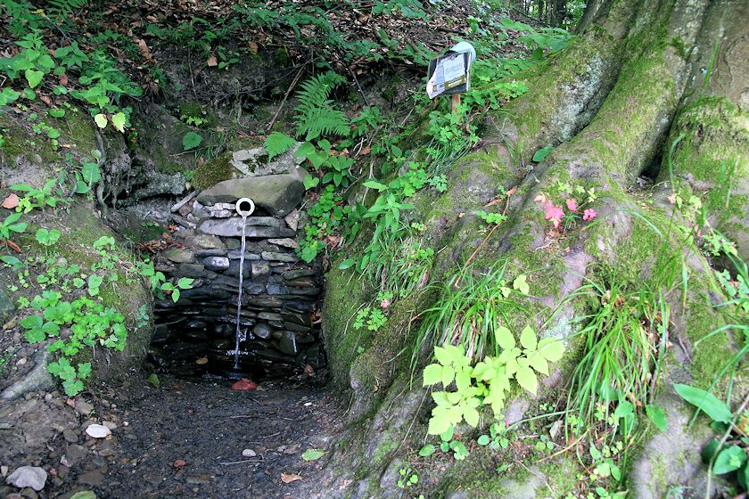 studánka Ve Dříni (1823)