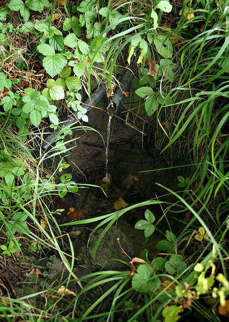studánka U Hříbků (1861)