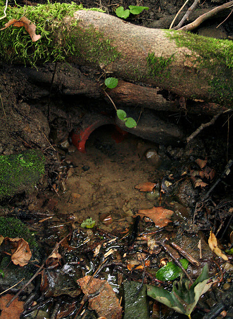 studánka Po Dílcem (1862)