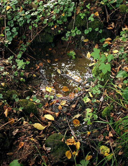 studánka Pod Lípím (1865)