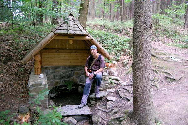 Lesní studánka (1874)