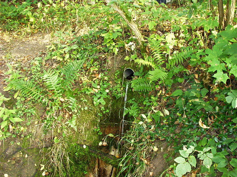 pramen Studánka koh-i-noor (1888)