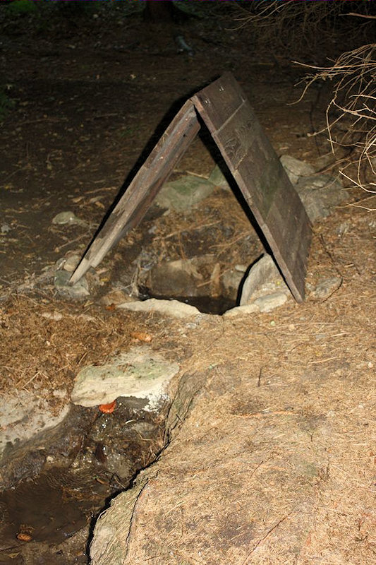 studánka sv. Františka z Assisi (1896)