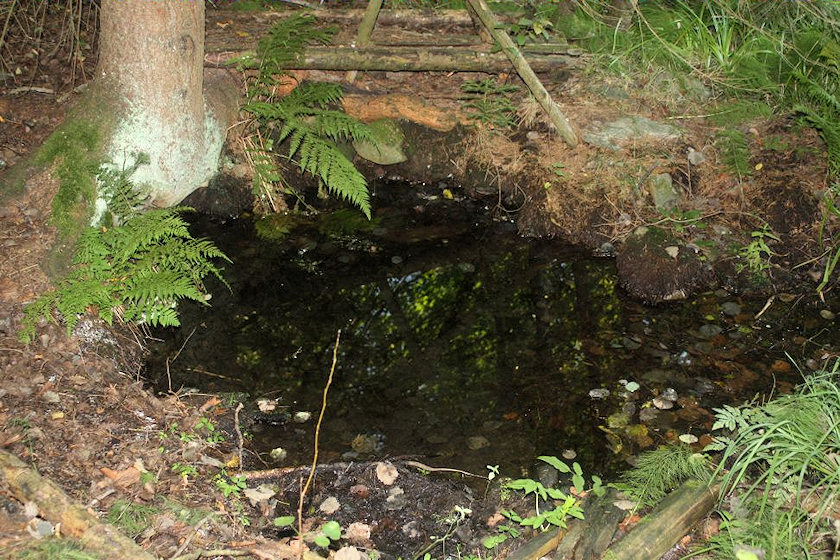 studánka U Makovičků (1898)
