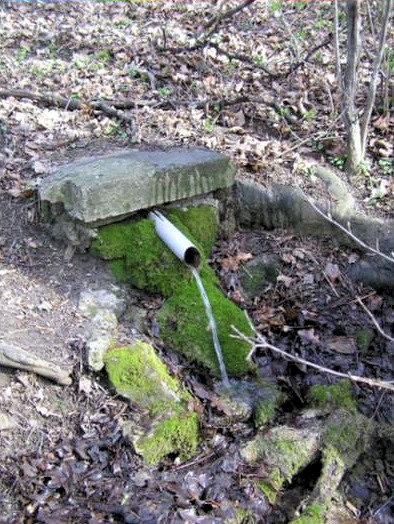 studánka bez jména (1913)
