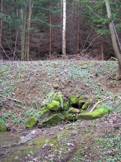 studánka U Pionýrské chaty (1914)