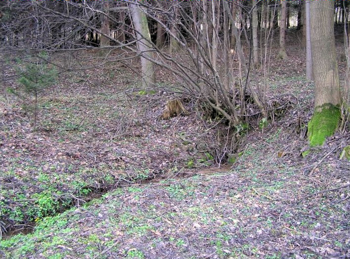 studánka U Včelínku (1915)