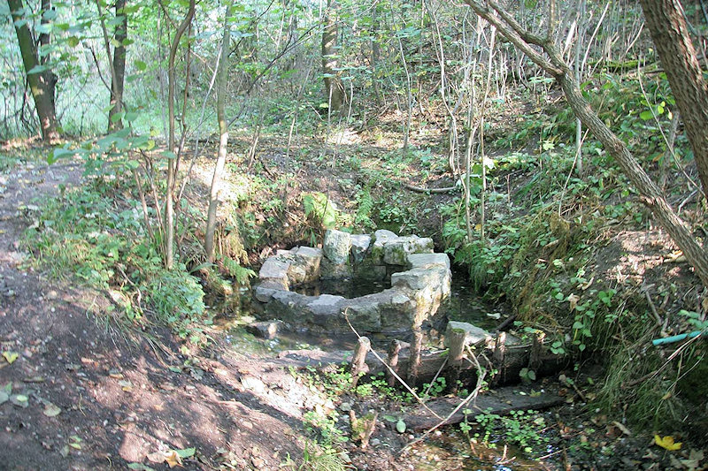 Lesní studánka (1919)