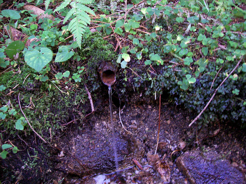 studánka Kopanina (1933)