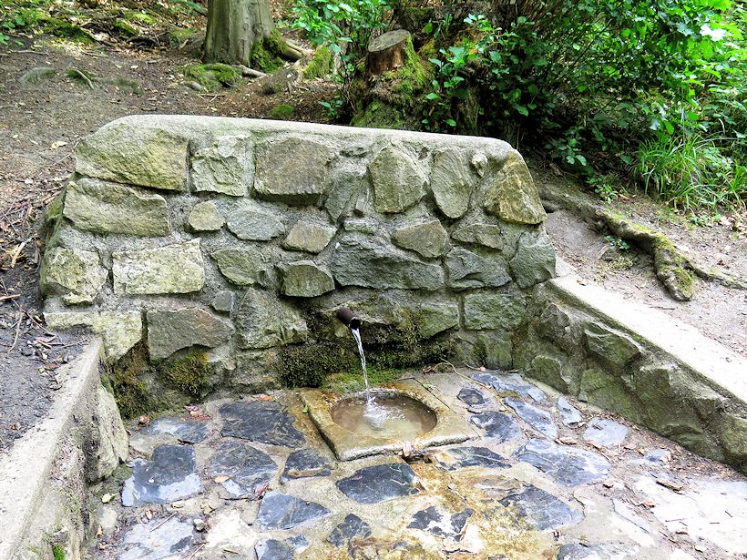 studánka U Mísy (1956)