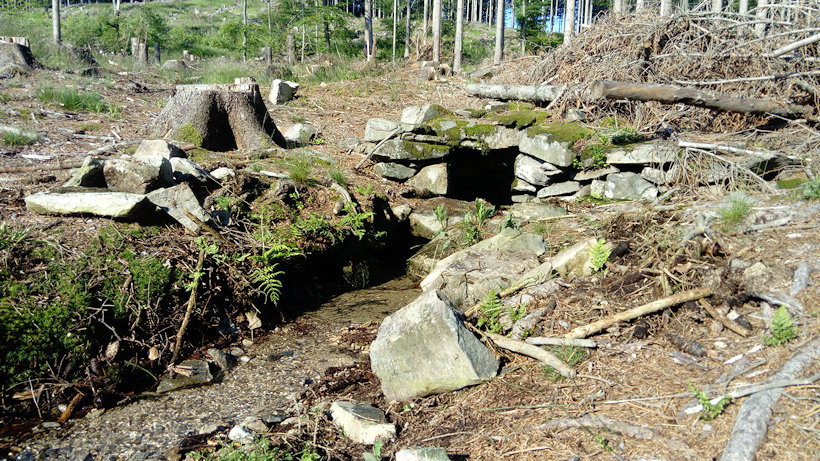 studánka bez jména (1981)