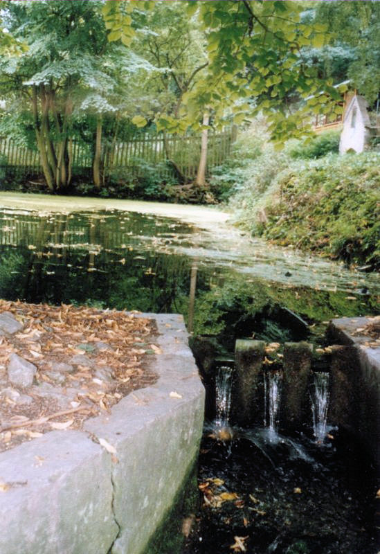 vyvěračka Koda (1989)