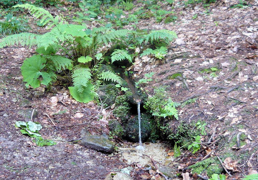 Záhradištní studánka (1995)