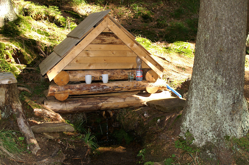 Veveří studánka (2019)