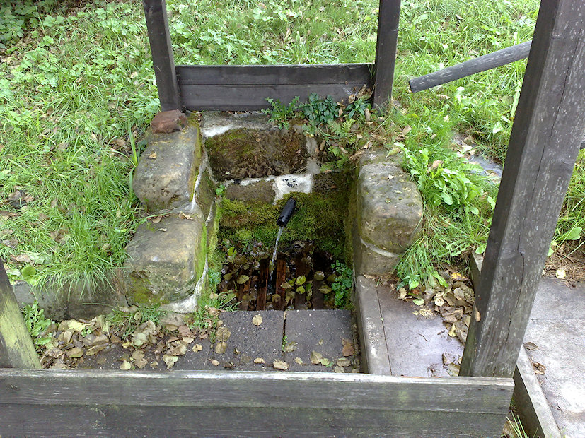 studánka bez jména (2021)
