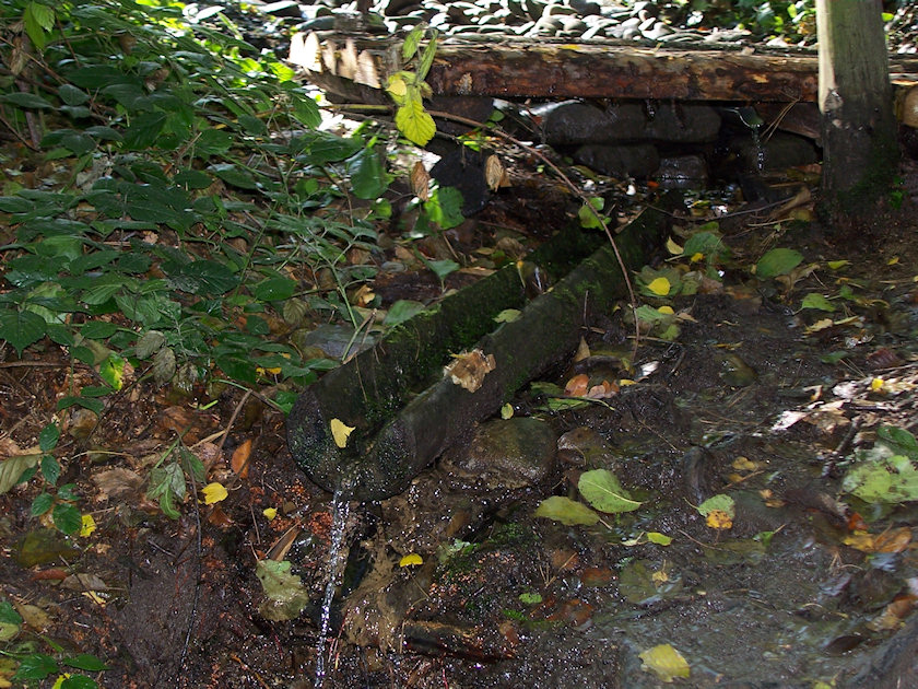 studánka Ryninka (2022)
