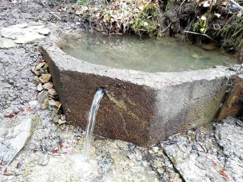 studánka Včelařský (2028)