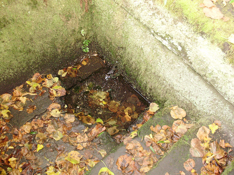 studánka U panny Marie (2037)