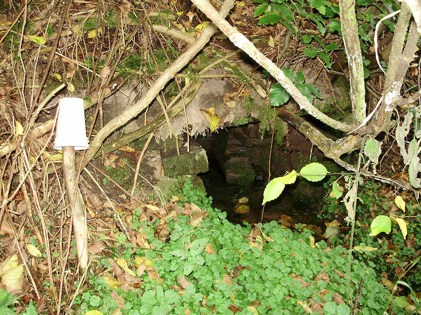 studánka Železniční (2038)