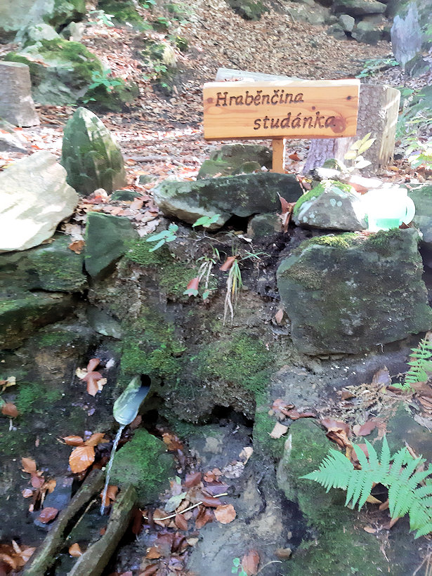 Hraběnčina studánka (2051)