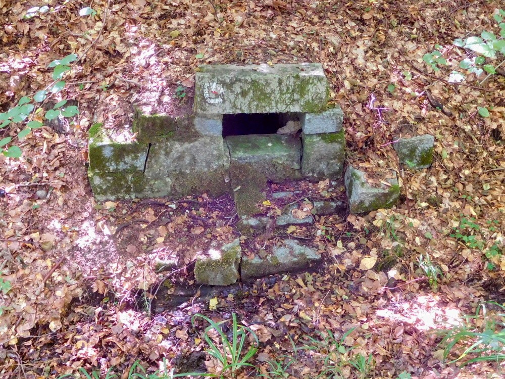 studánka Nad Pilou (2068)
