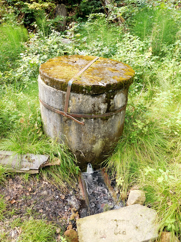 studánka Sirkovica (2069)