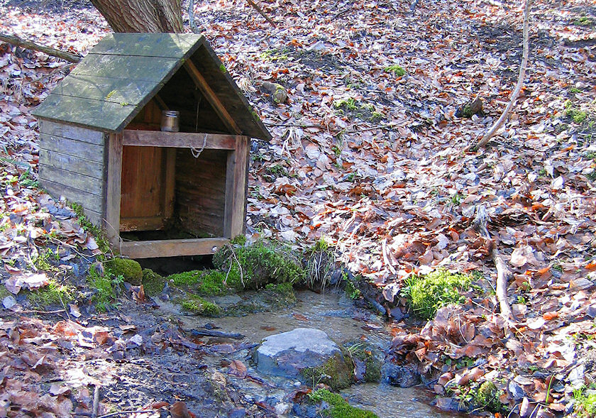 studánka Kamenné potoky (Smutný žleb) (2073)