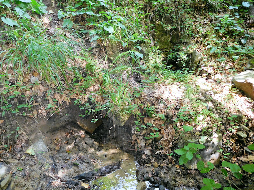 studánka U Tománkovy hájenky (2079)