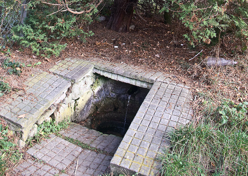 studánka Ve staré Lipůvce (2080)