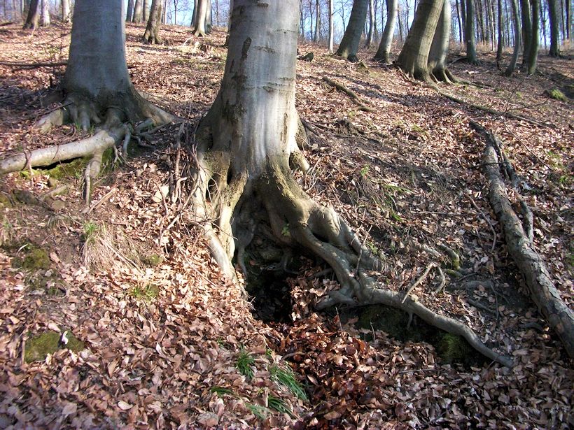 Vlčí studánka (2082)