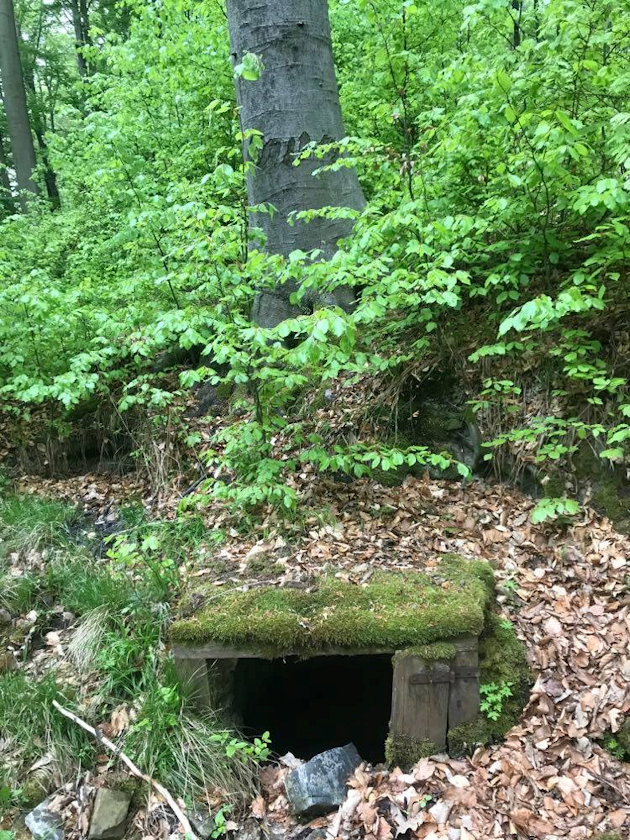 studánka Diana (2083)