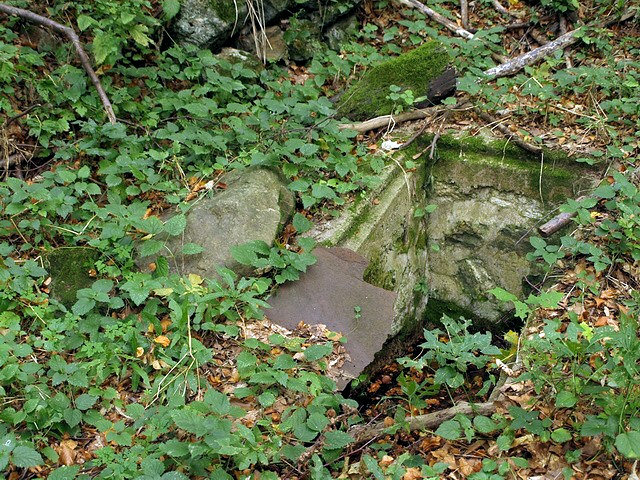studánka bez jména (2090)