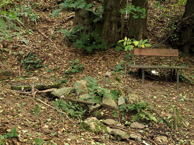 studánka bez jména (2091)