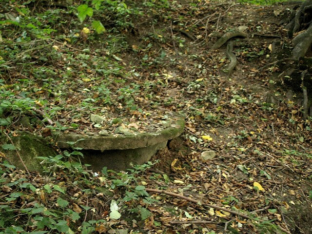 studánka bez jména (2092)