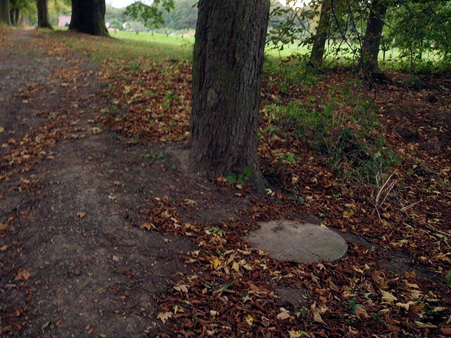 studánka bez jména (2094)
