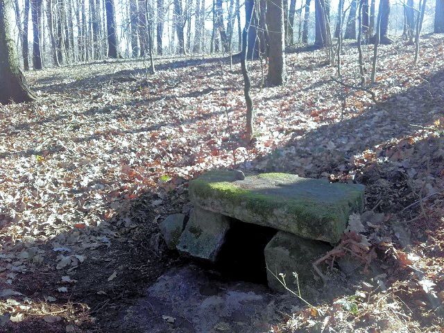 studánka bez jména (2095)