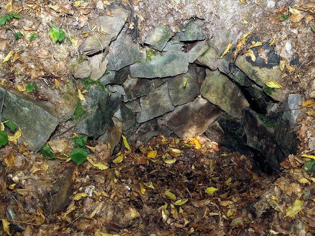 studánka bez jména (2096)