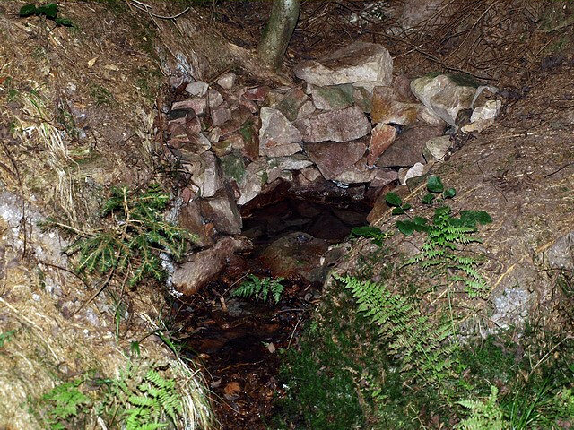 studánka bez jména (2098)